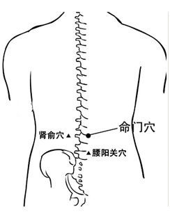 命门怎么找最简单（生命之门――命门穴）