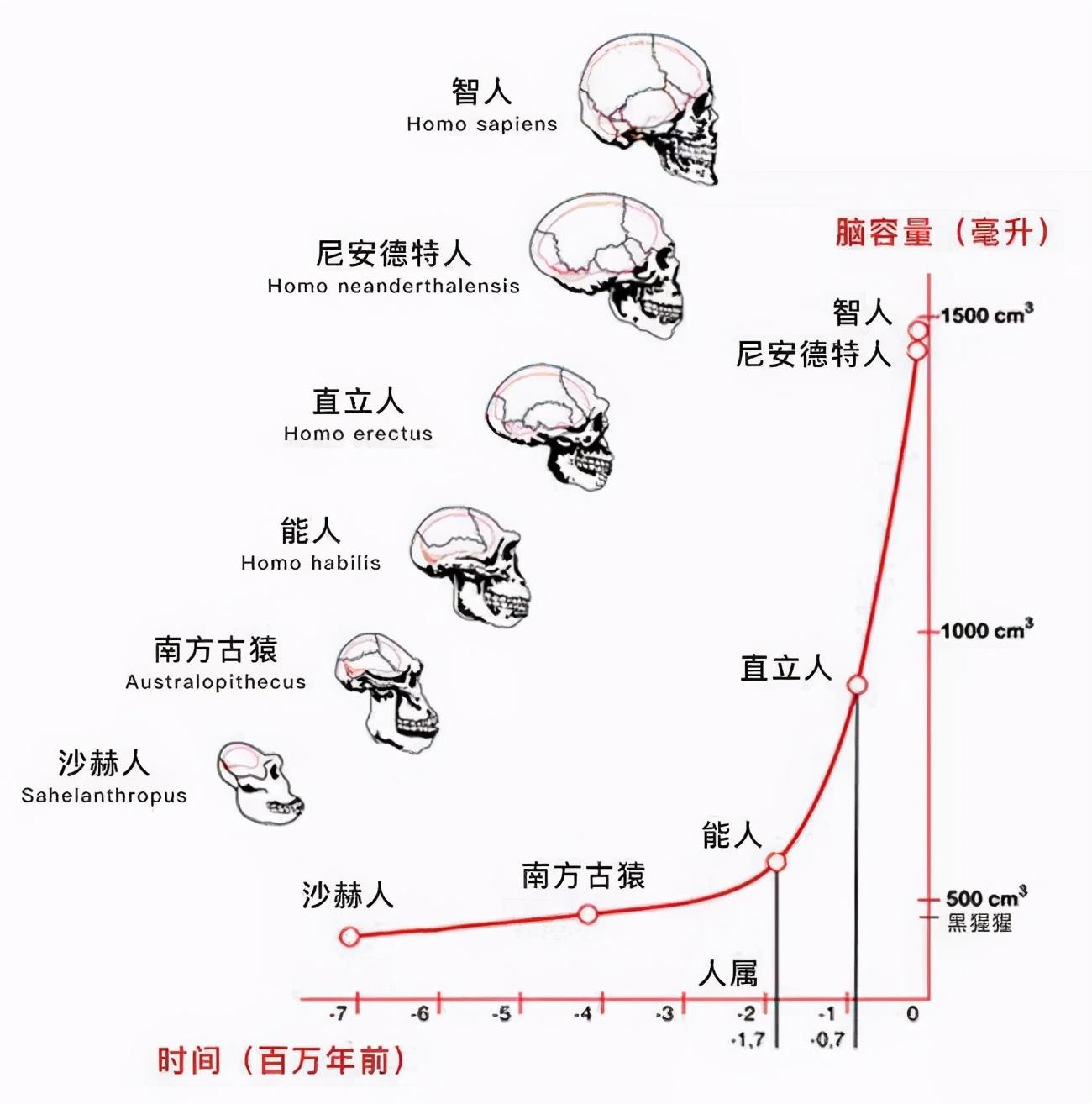 世界上第一个人是谁叫什么名字（第一个女人和男人是如何诞生的？）