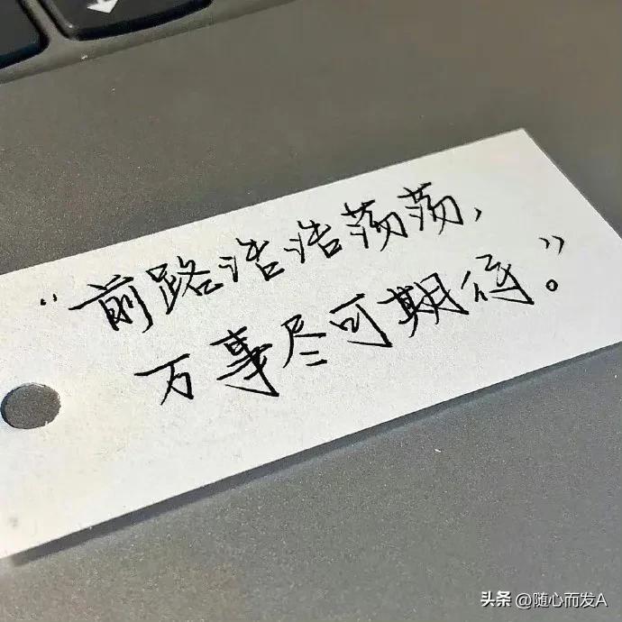 放下感情的经典句子简短（我的心跳 终于要属于我了）