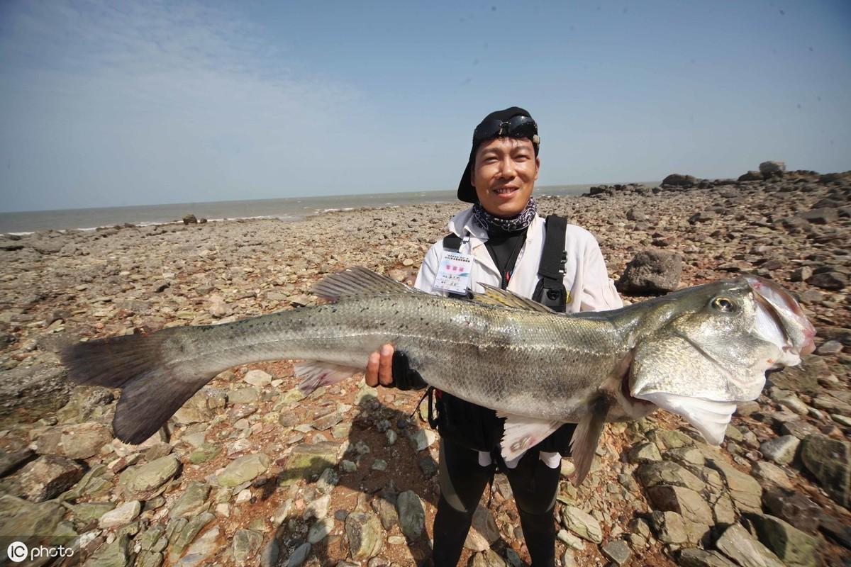 西南风适合海钓么（海钓何时好上鱼，何时不好上鱼呢）